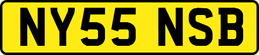 NY55NSB
