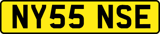 NY55NSE