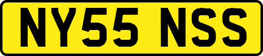 NY55NSS