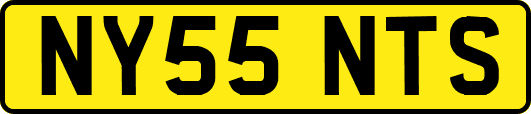 NY55NTS