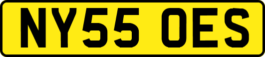 NY55OES