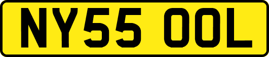 NY55OOL