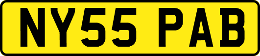 NY55PAB