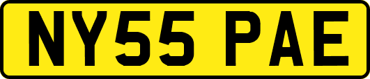 NY55PAE
