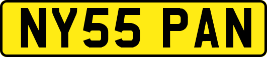 NY55PAN