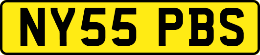 NY55PBS