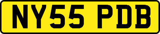 NY55PDB