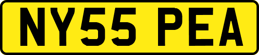 NY55PEA