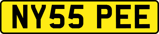 NY55PEE