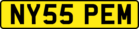NY55PEM