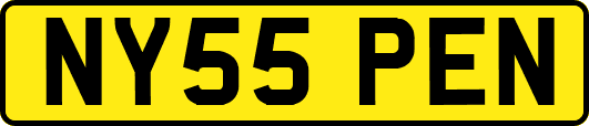 NY55PEN
