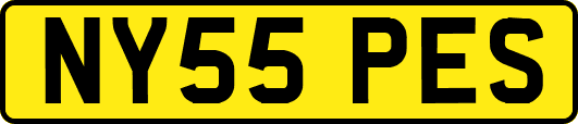 NY55PES