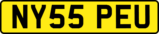 NY55PEU