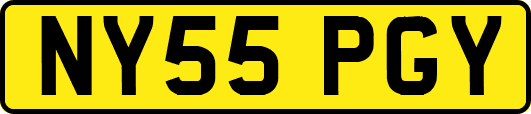 NY55PGY
