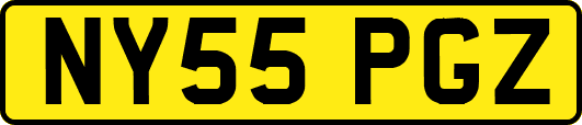 NY55PGZ