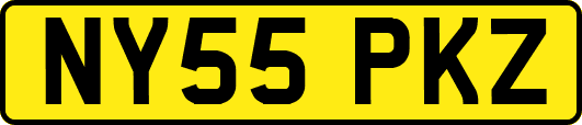 NY55PKZ