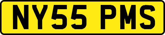 NY55PMS