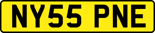 NY55PNE