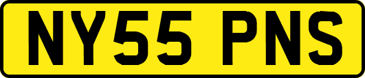 NY55PNS