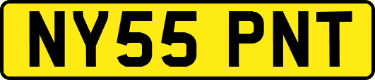 NY55PNT