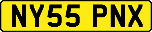 NY55PNX