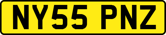 NY55PNZ