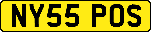 NY55POS