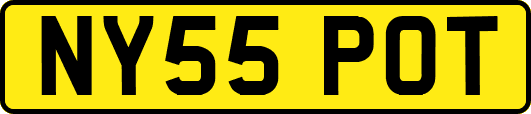 NY55POT