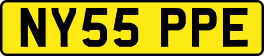 NY55PPE
