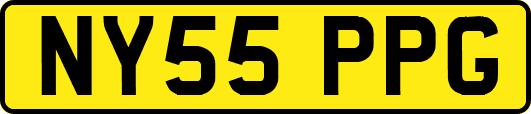 NY55PPG
