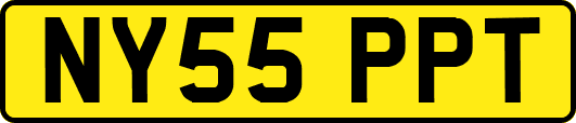 NY55PPT