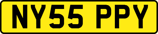NY55PPY
