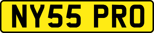 NY55PRO