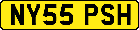 NY55PSH