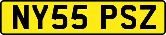 NY55PSZ