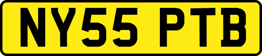 NY55PTB