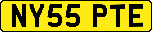 NY55PTE