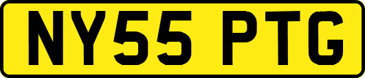 NY55PTG