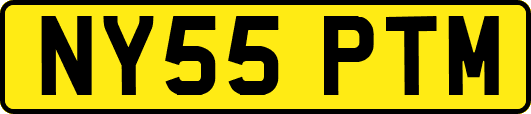 NY55PTM