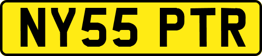 NY55PTR