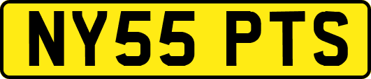NY55PTS