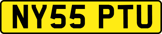NY55PTU