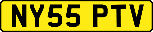 NY55PTV