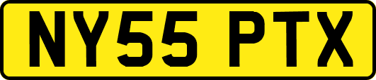 NY55PTX