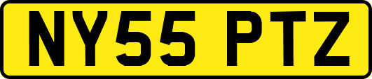 NY55PTZ