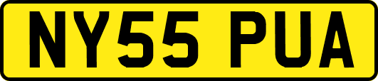 NY55PUA