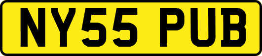 NY55PUB