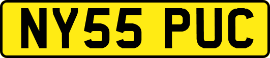 NY55PUC