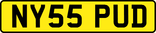 NY55PUD