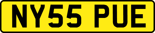 NY55PUE